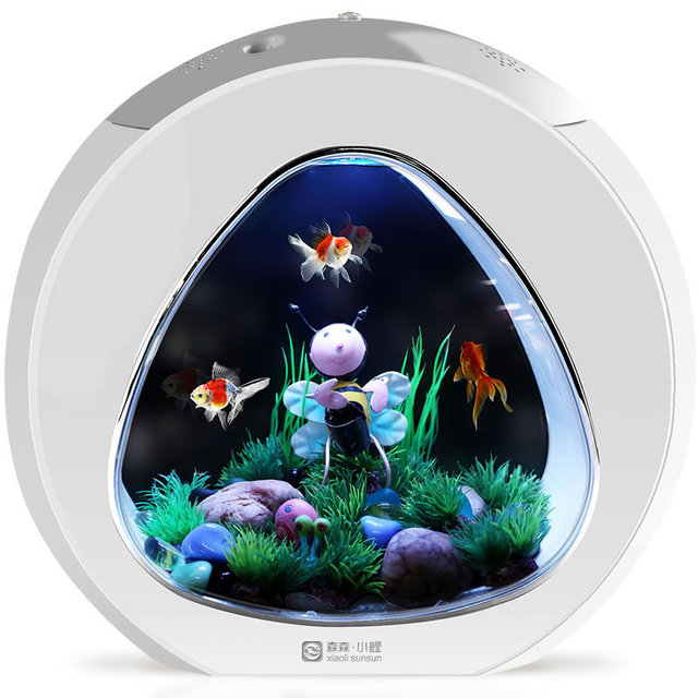 6706911104261.jpg