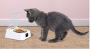 9ba794ce-fbbf-4f93-adcd-d2055e874a1c.png