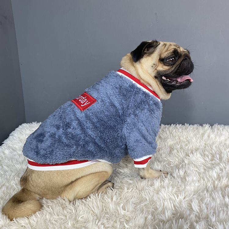 Pet sweater (M)