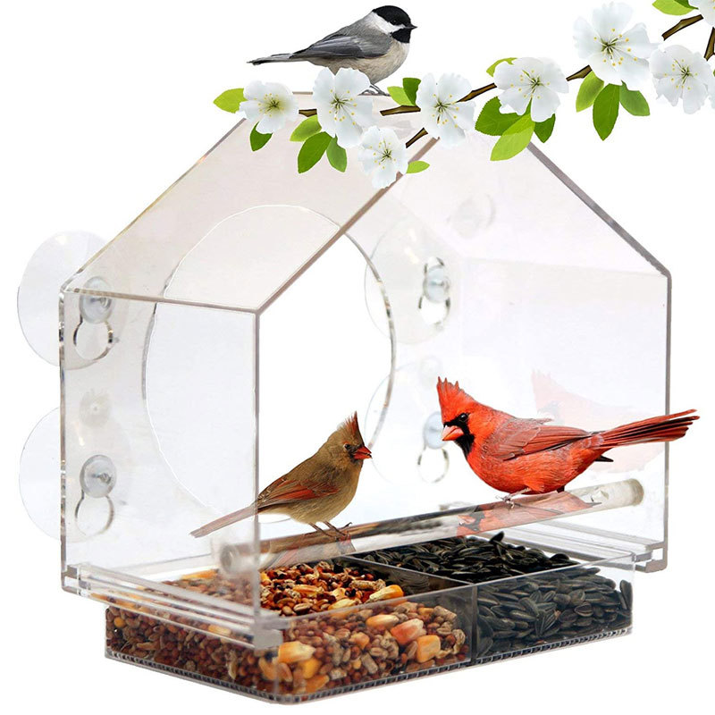 مغذي طيور ذكي مع كاميرا لمراقبة الطيور مباشرة (Bird Cage)