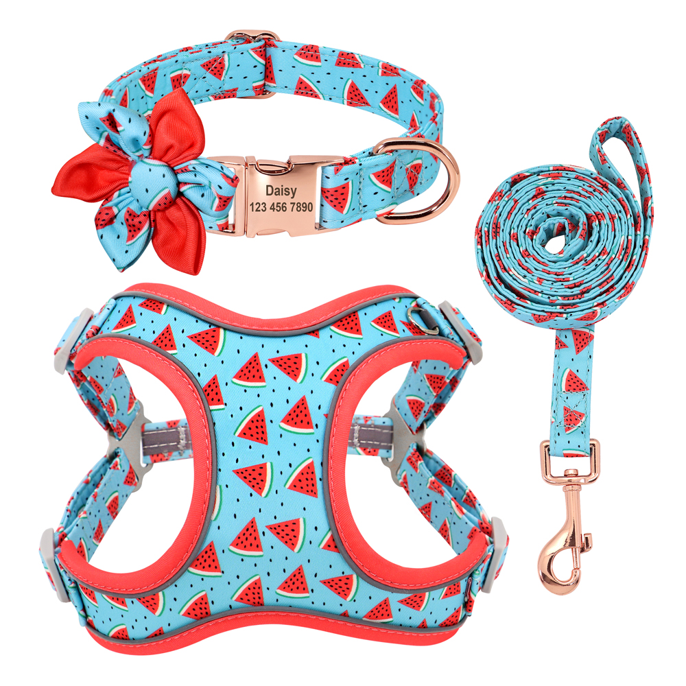 Small Dog Leash and Collar Set for Teddy and Corgi Dogs (M, Blue)