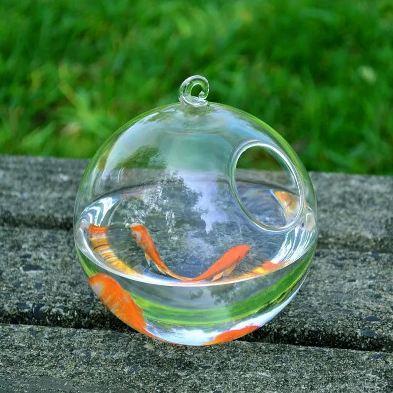 حوض أسماك زجاجي معلق (Glass Ball)